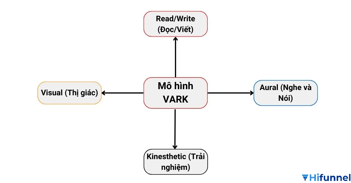 Lợi ích khi hiểu phong cách học tập VARK – mô hình giúp người học tối ưu thời gian và nâng cao hiệu quả học online